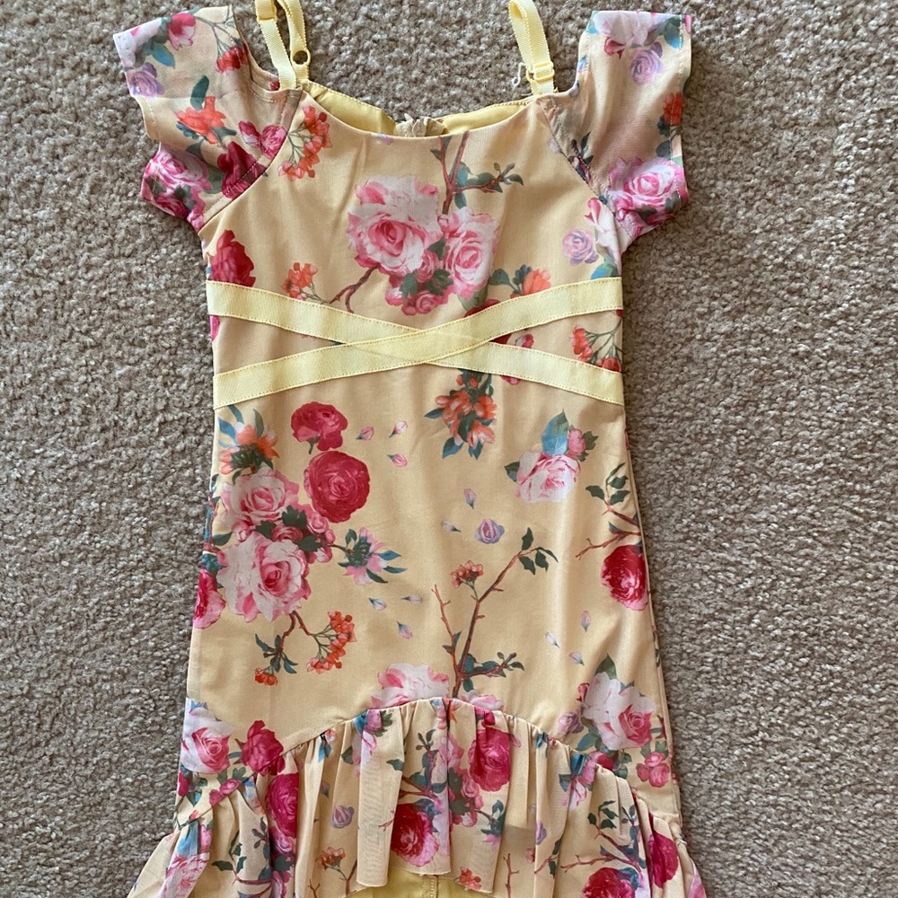 Joyfolie dress size 4 are EUC